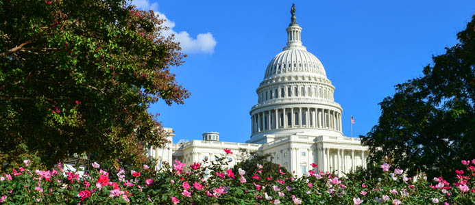 United States Capitol - Washington DC